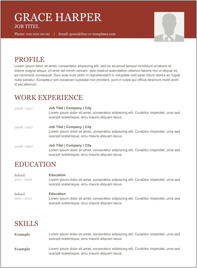 Amazing Cv Templates That Impress Free