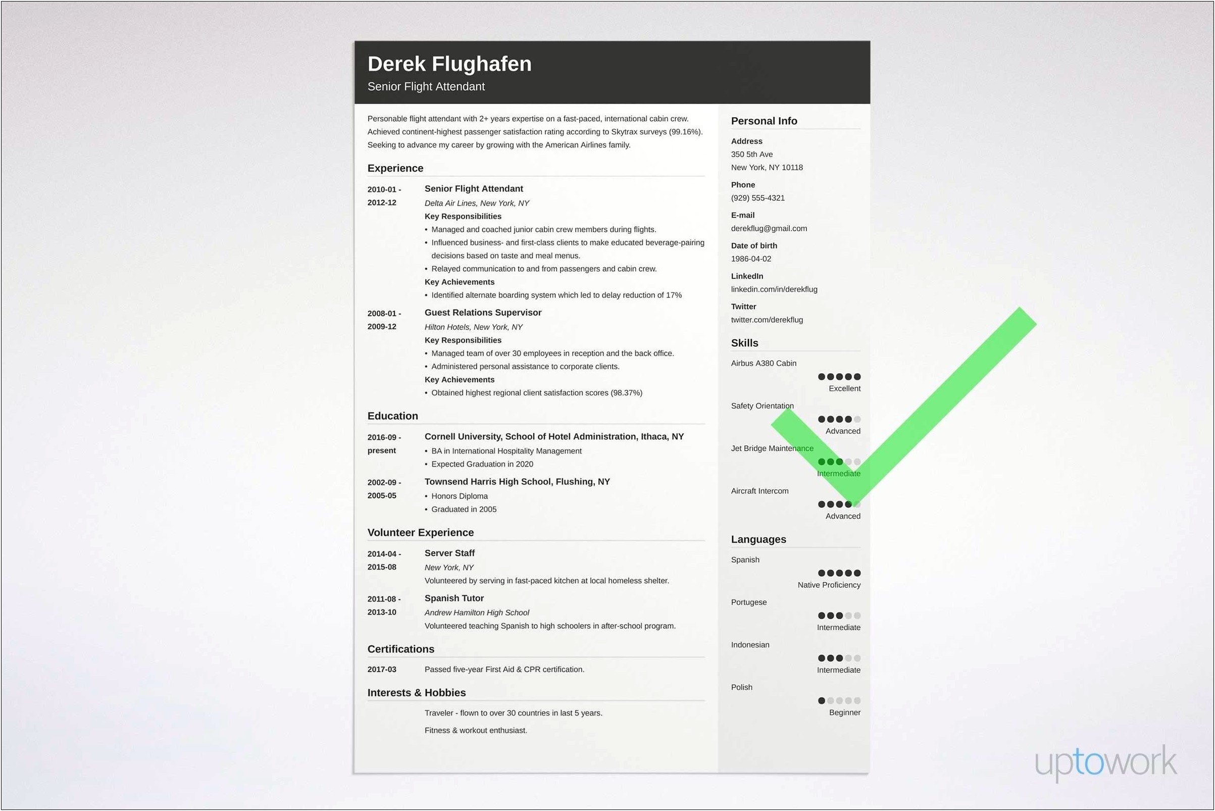 Cabin Crew Cv Template Free Download