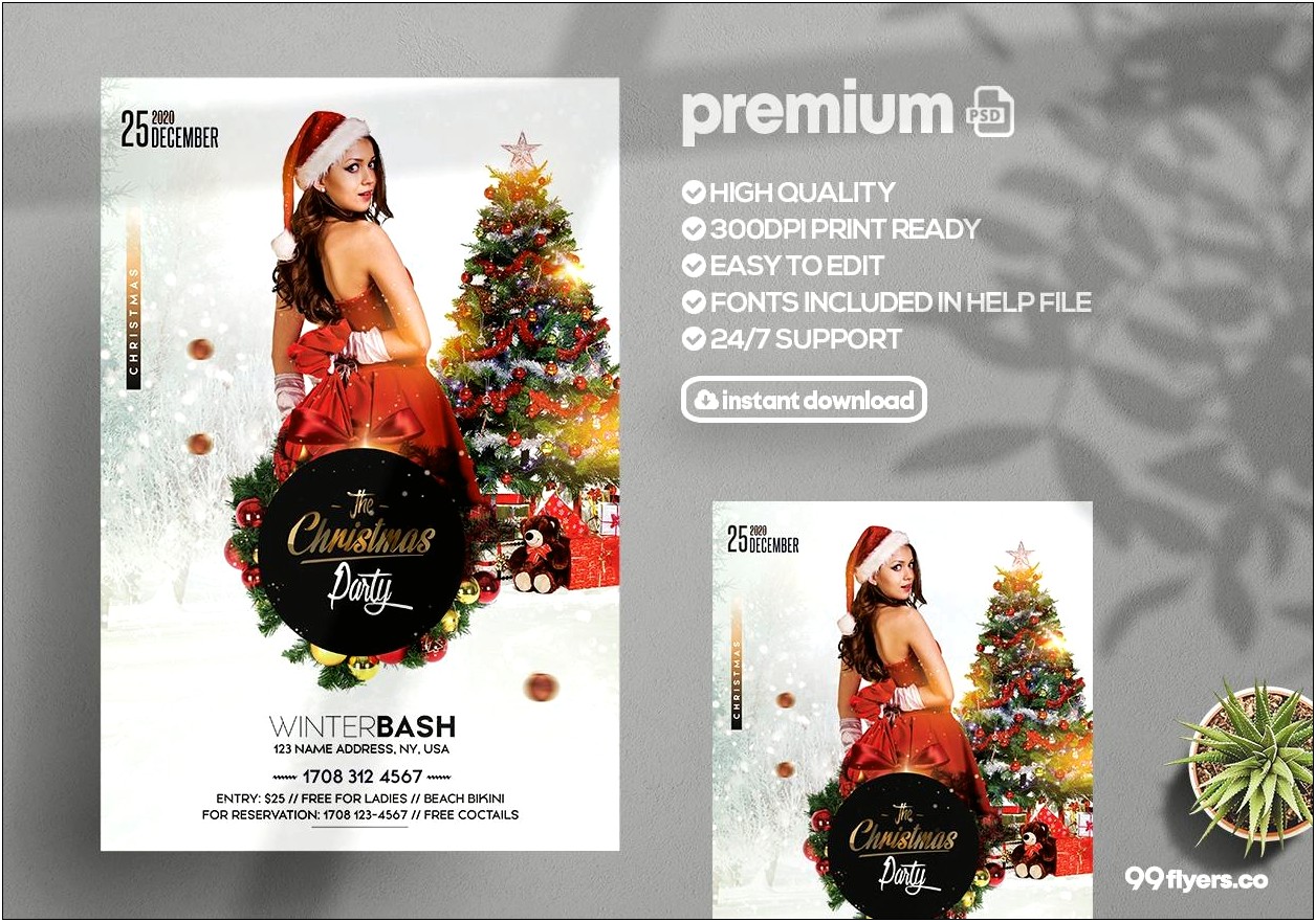 Christmas Flyer Psd Templates Free Download