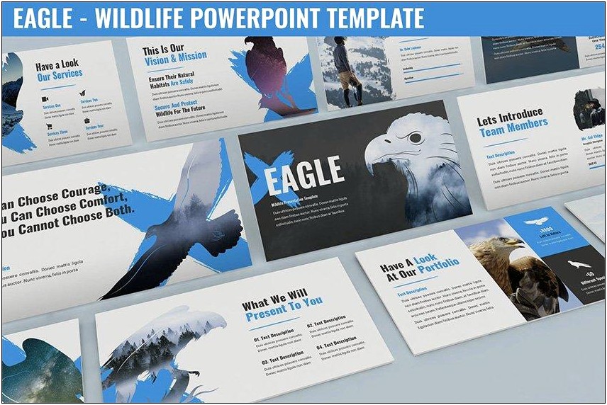 Examples Free Patriotic Word Doc Flyer Templates