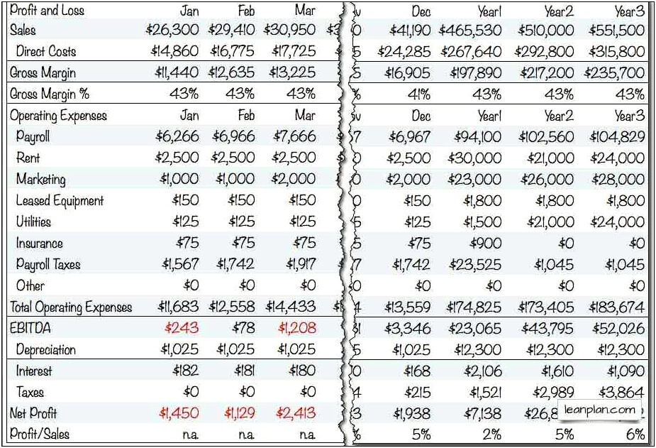 Free 12 Month Profit And Loss Projection Template