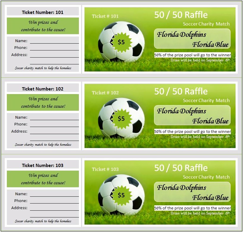 Free 50 50 Raffle Flyer Template