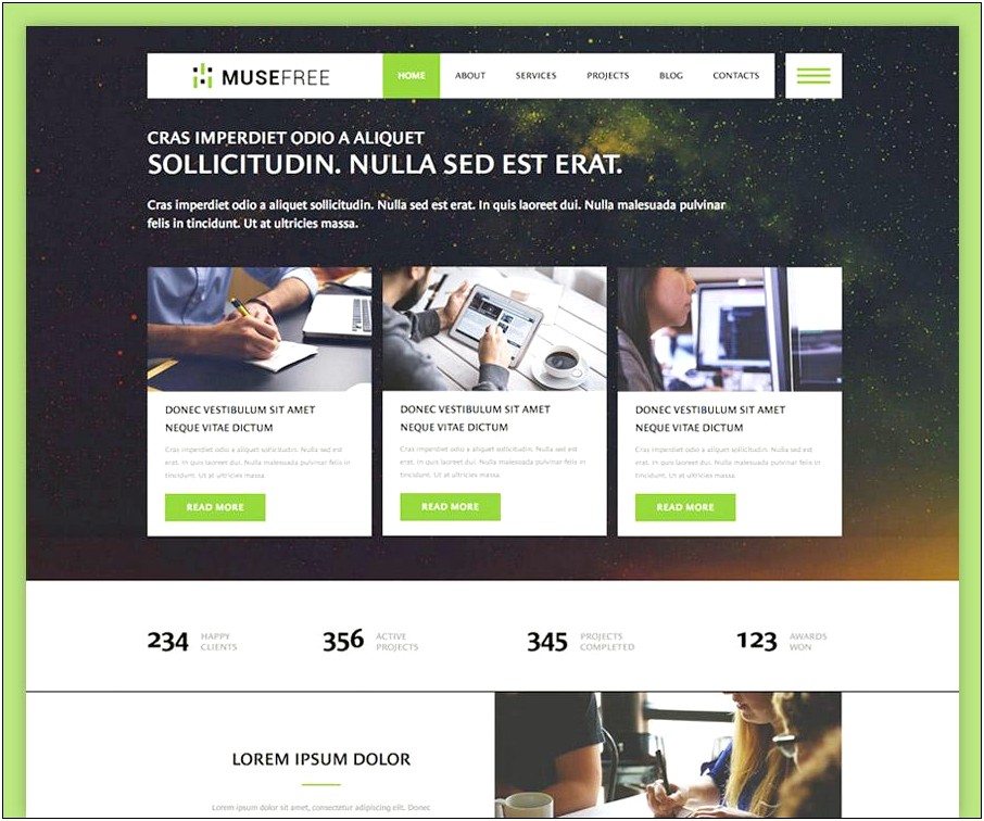 Free Adobe Muse Responsive Templates 2016