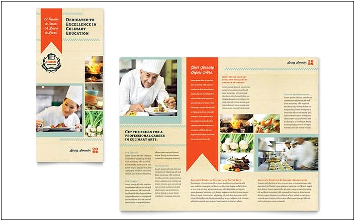 Free Educational Tri Fold Brochure Templates