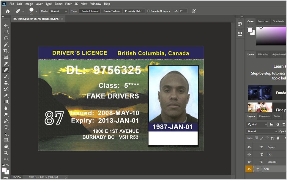 Free Illinois Drivers License Template Psd