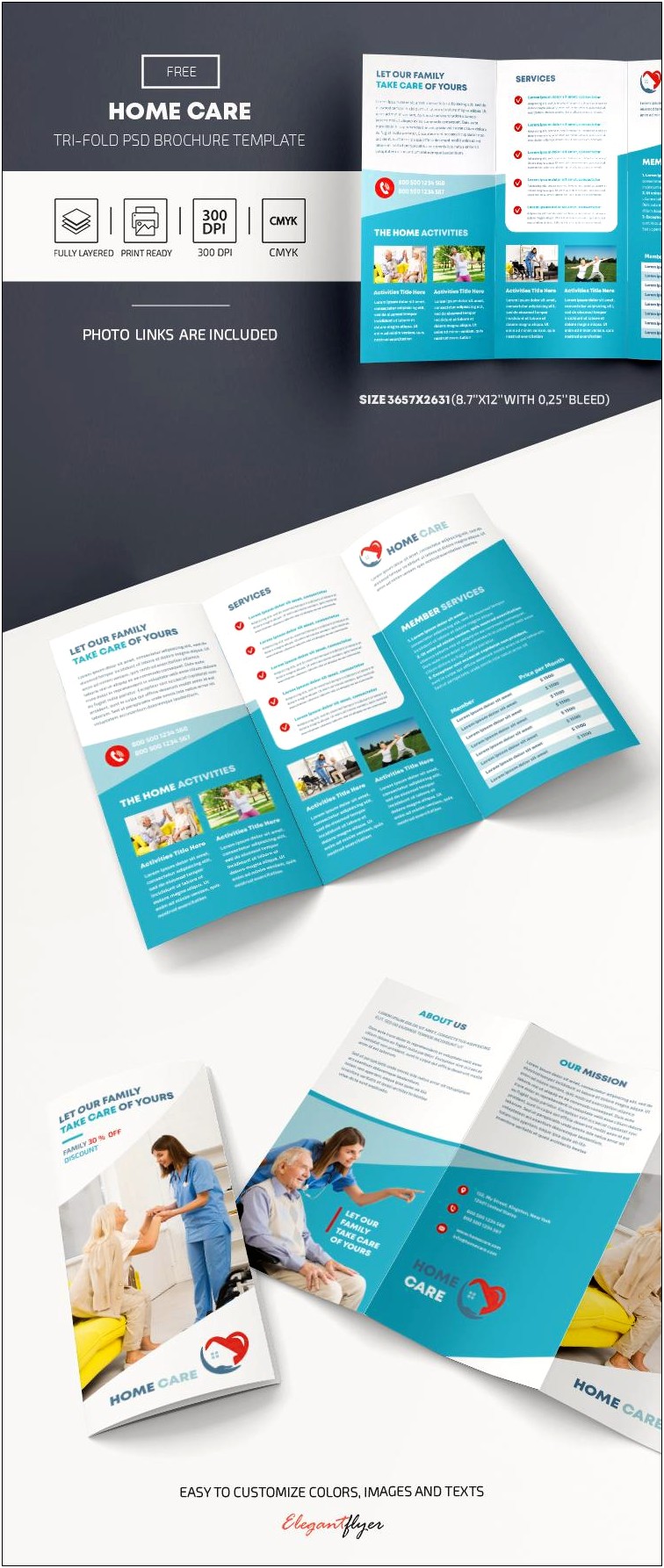 Free Medicaid Card Themed Brochure Template