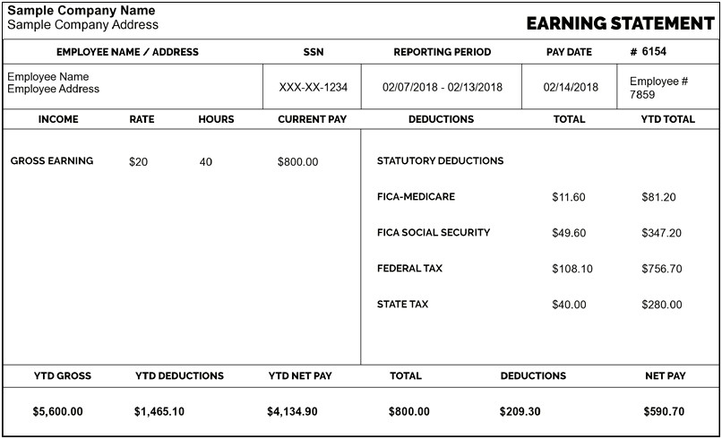 Free Pay Stub Template For Truck Driver