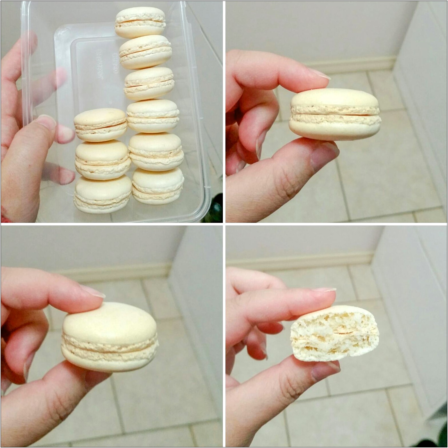 Free Printable 1.25 Round Template For Macarons