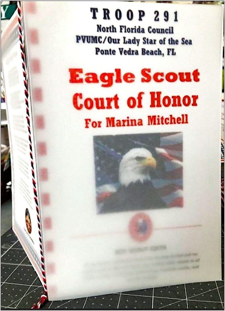 Free Printable Eagle Scout Program Template