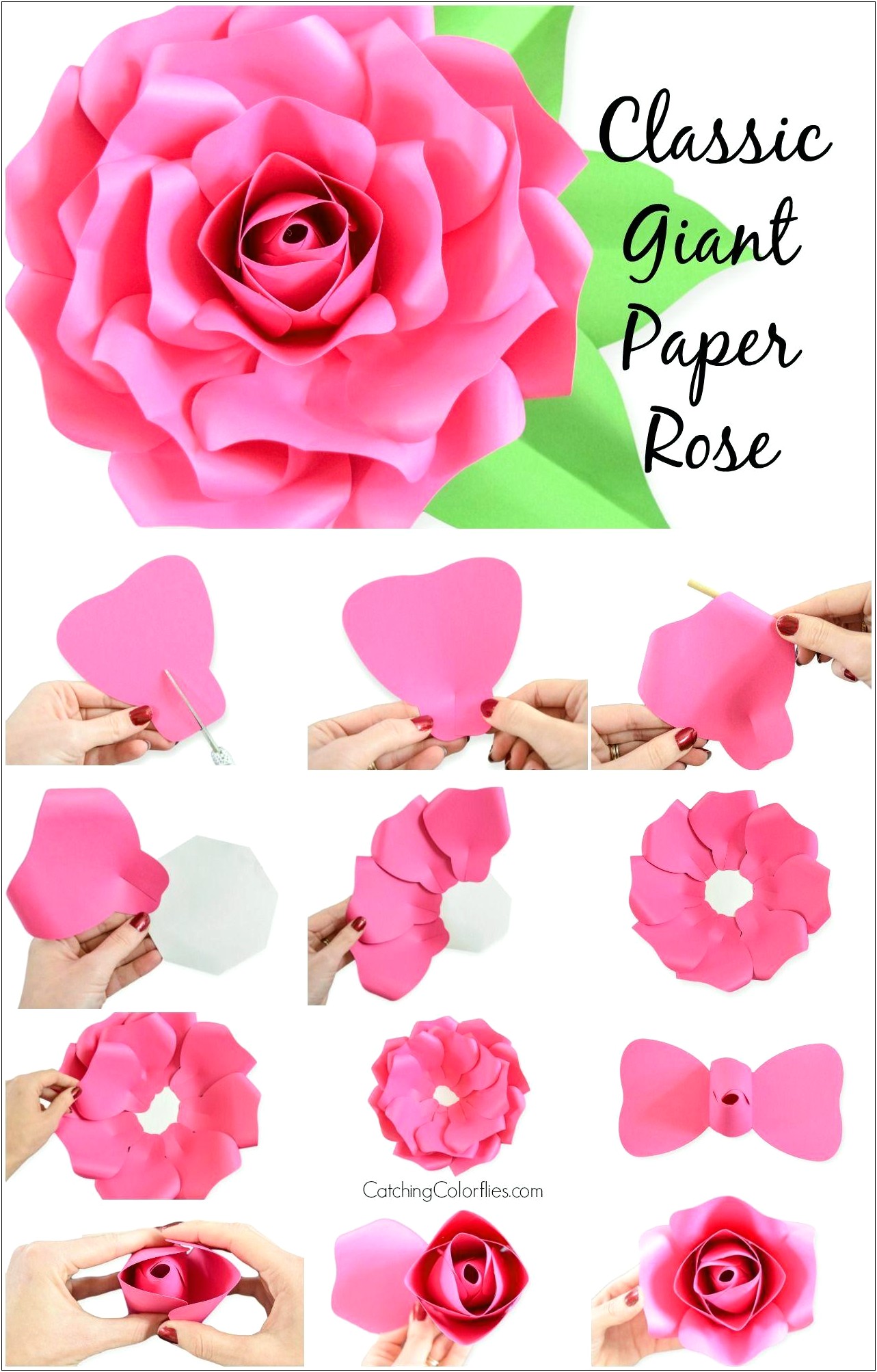Giant Paper Rose Template Pdf Free Templates Resume Designs LXJNnjoJpk