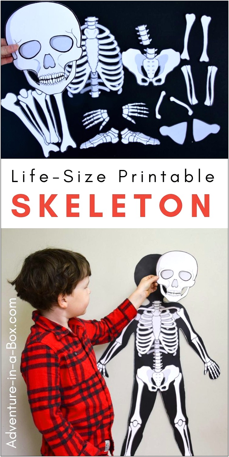Life Size Skeletons With This Free Printable Template