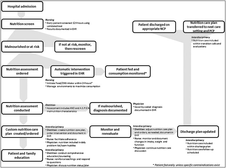 Long Term Nutrition Care Plan Template Free