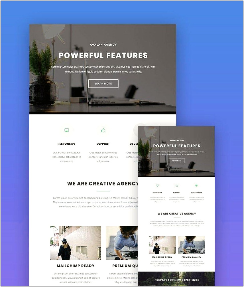 Mailchimp Html Newsletter Templates Free Eye Catching