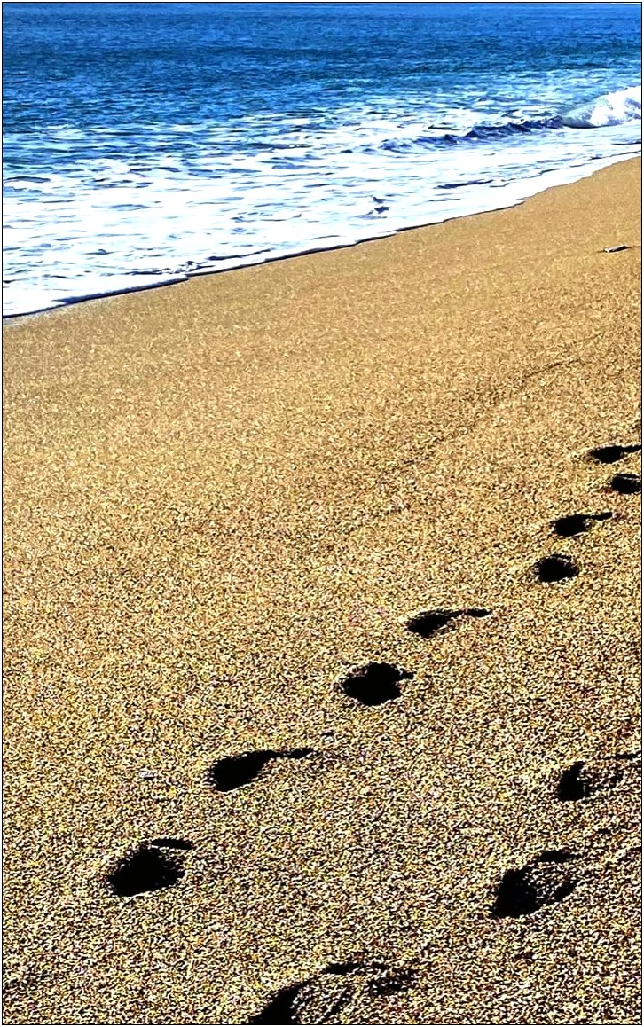 Name Tag Templates Free Footprint In Sand