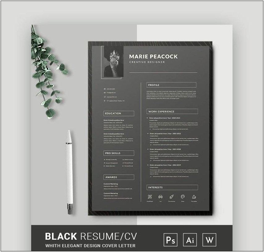 Professional Cv Template Doc Free Download