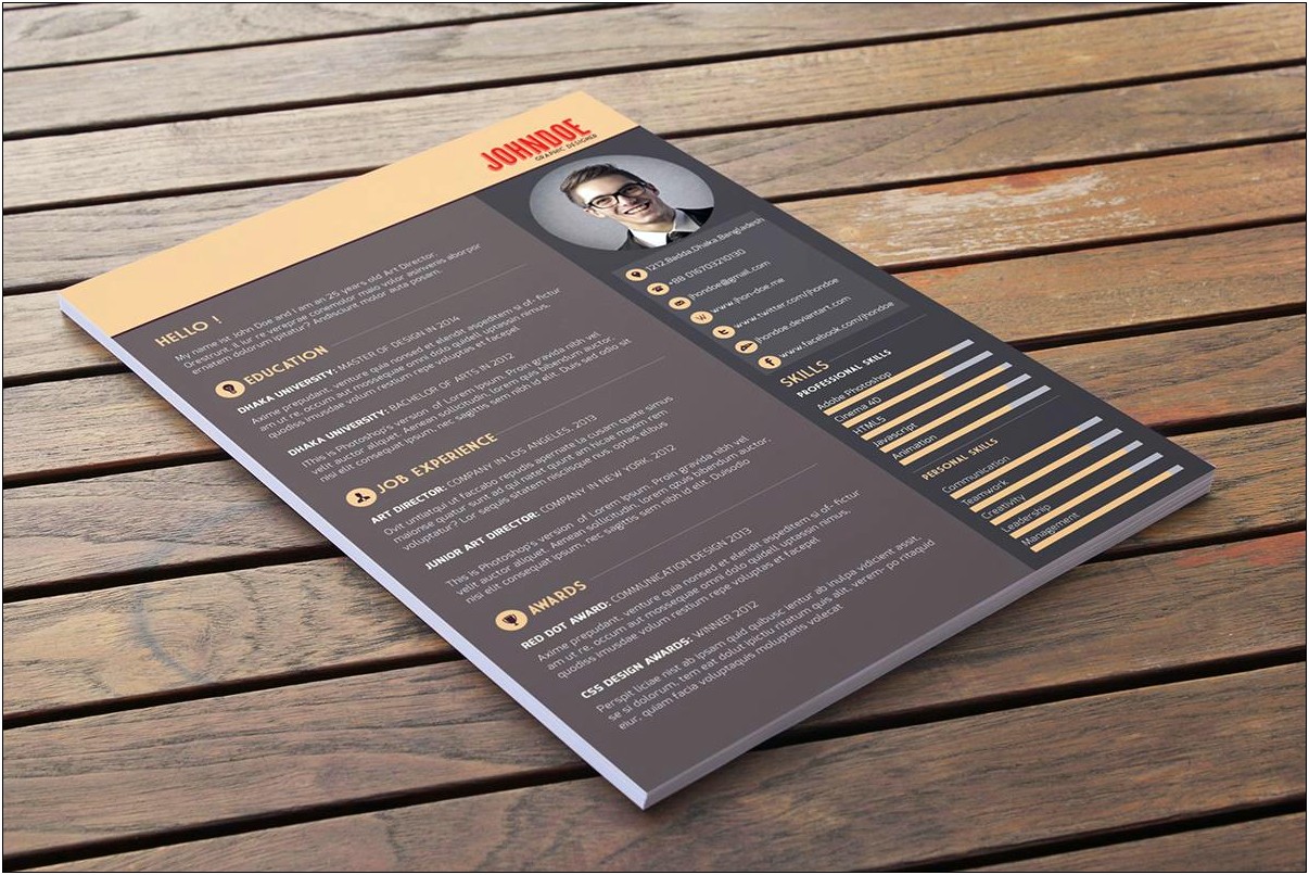 Professional Cv Template Free Download With Picture