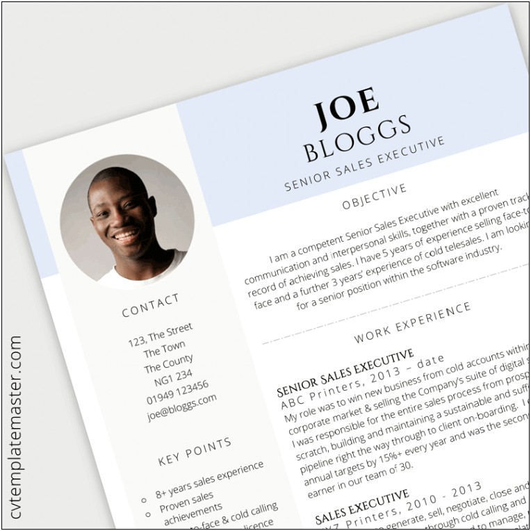 Sales Manager Cv Template Free Download