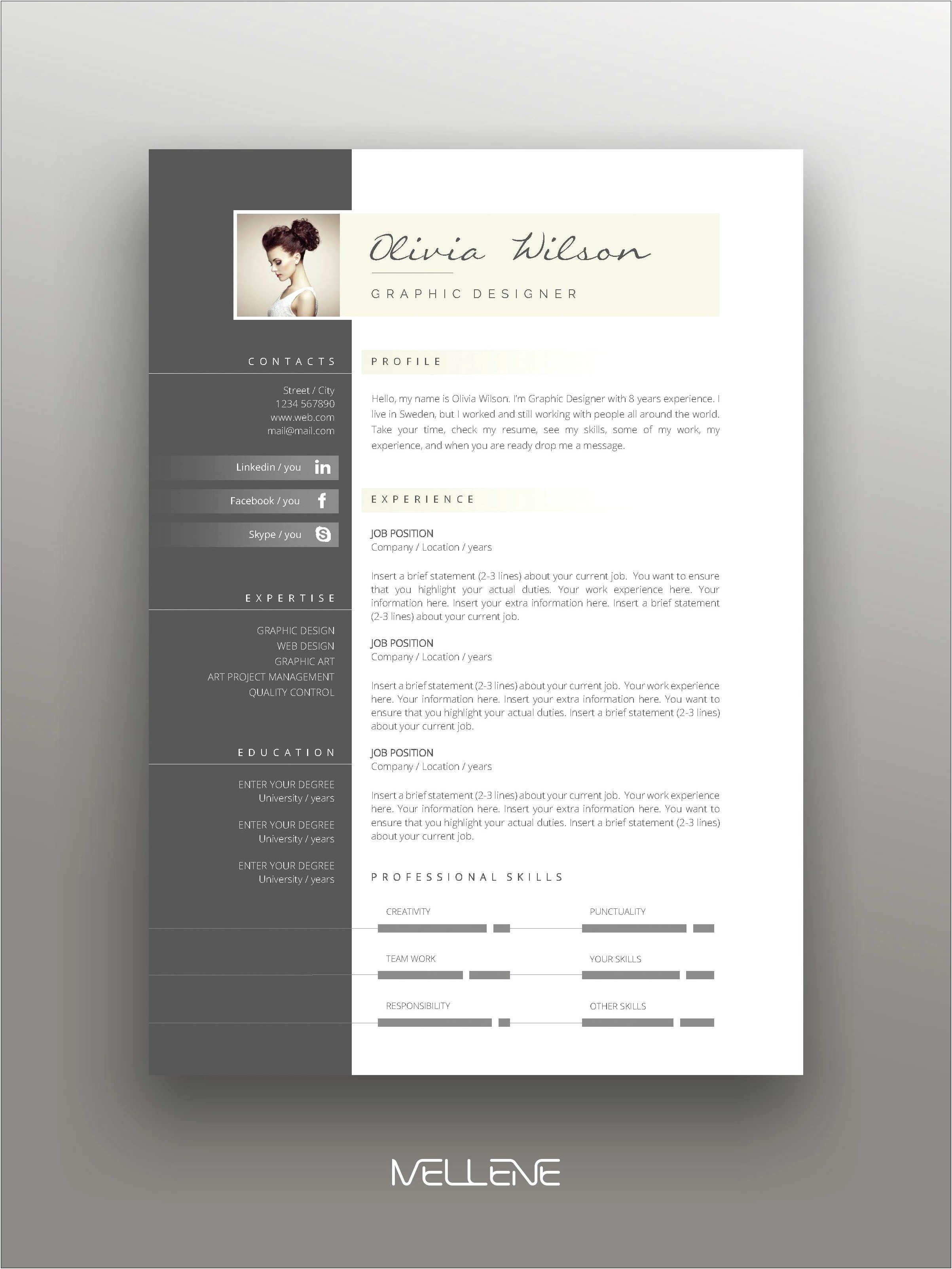 3 Page Resume Template Free Download