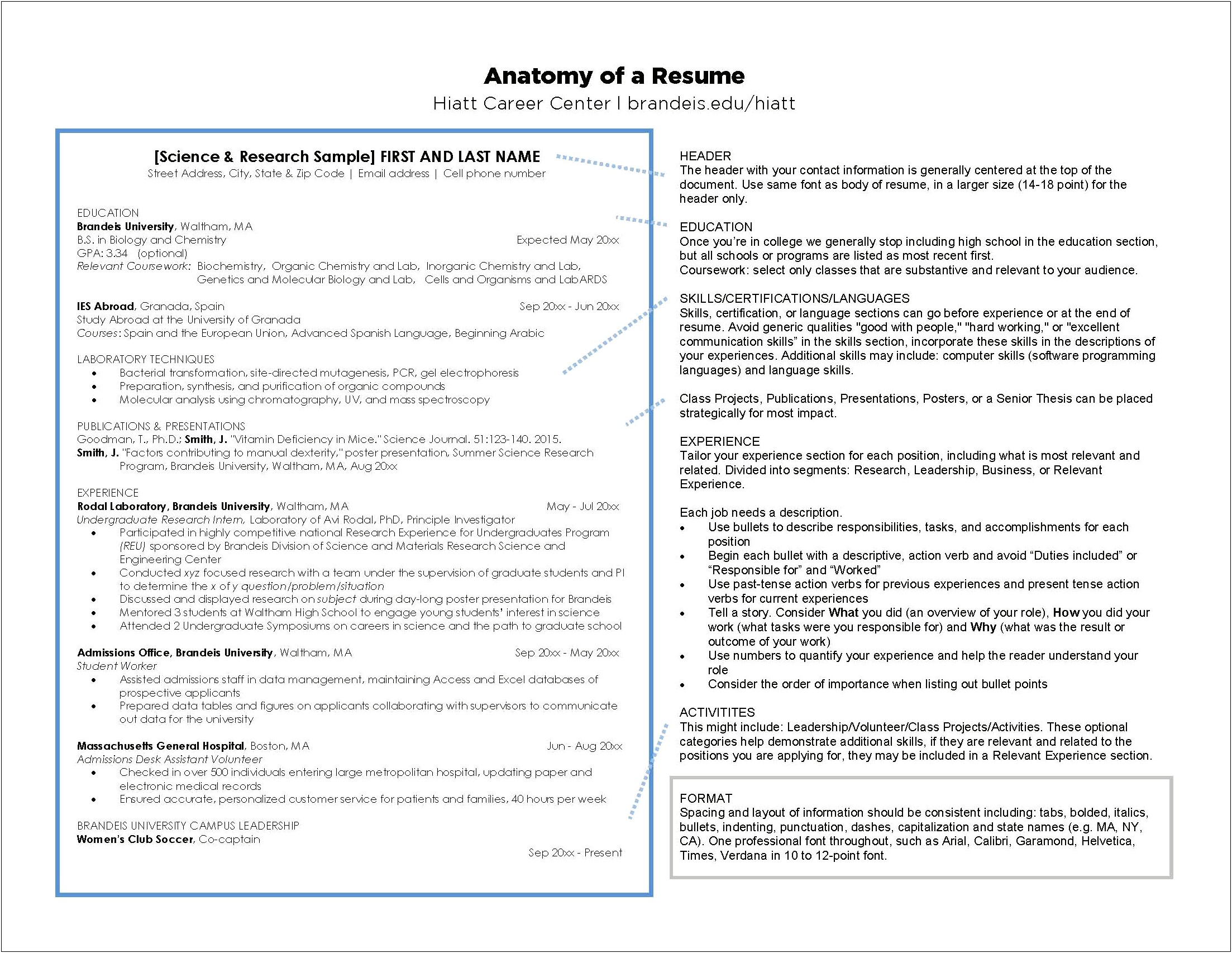 Address Experience In Higher Education In Resume