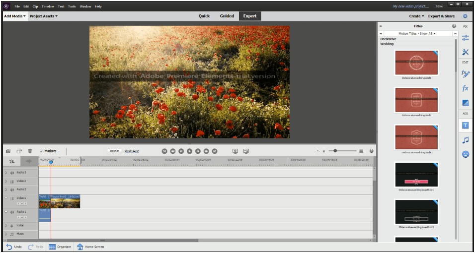 Adobe Premiere Elements Disc Menu Templates Download