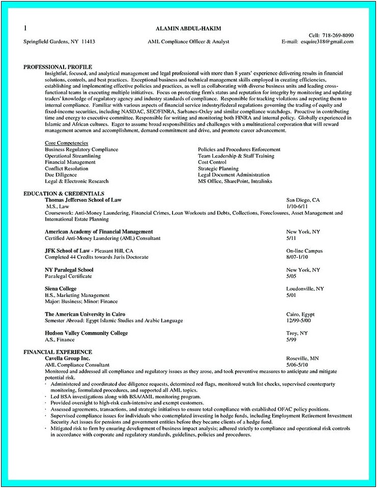 Anti Money Laundering Analyst Resume Sample