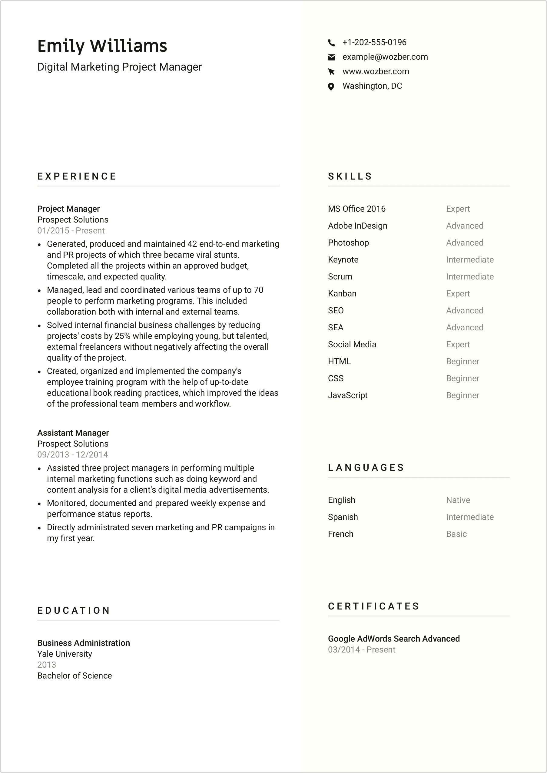 Asset Management Sample Projects For Resume