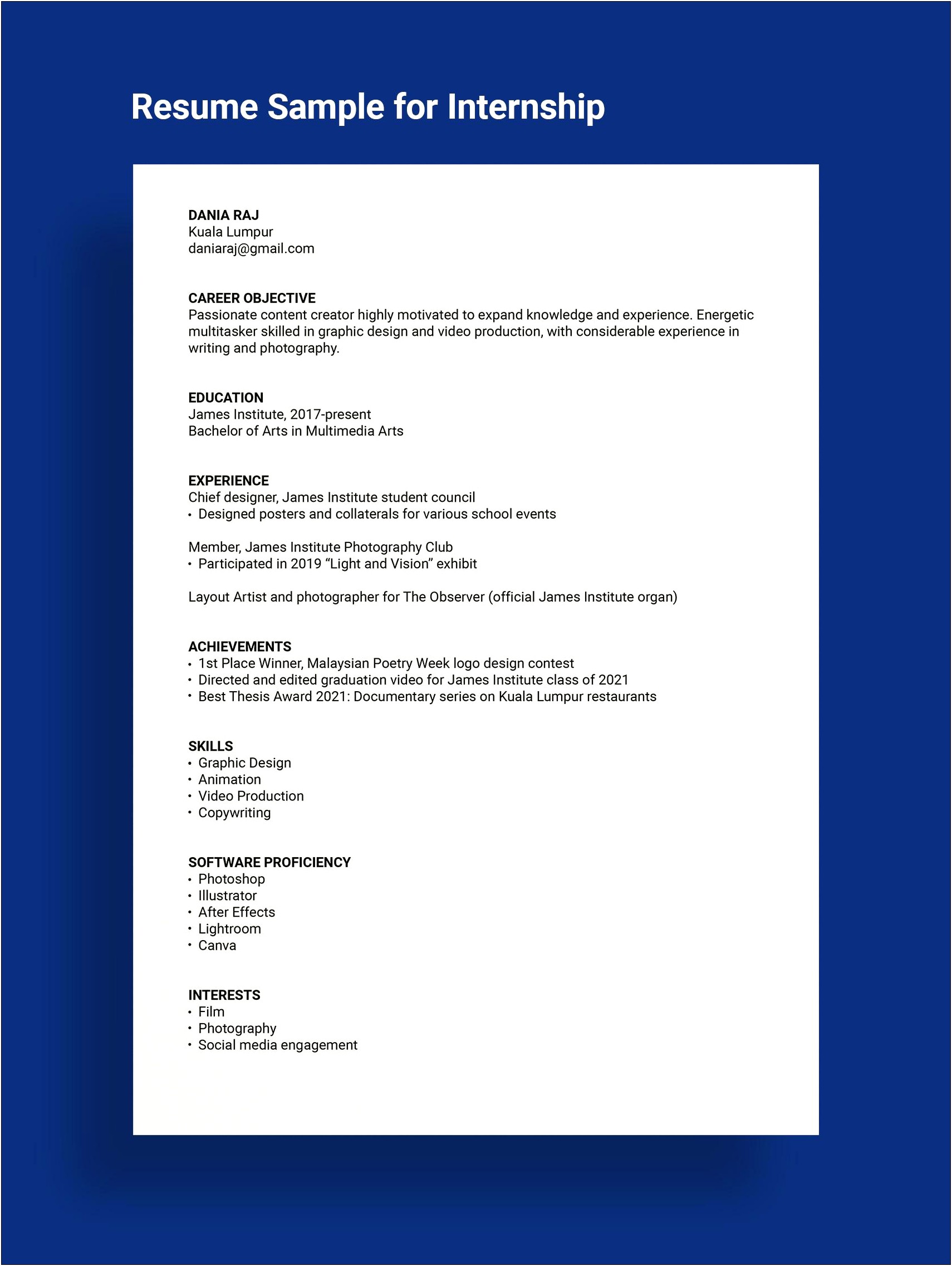 Audit Intern Job Skills For Resume