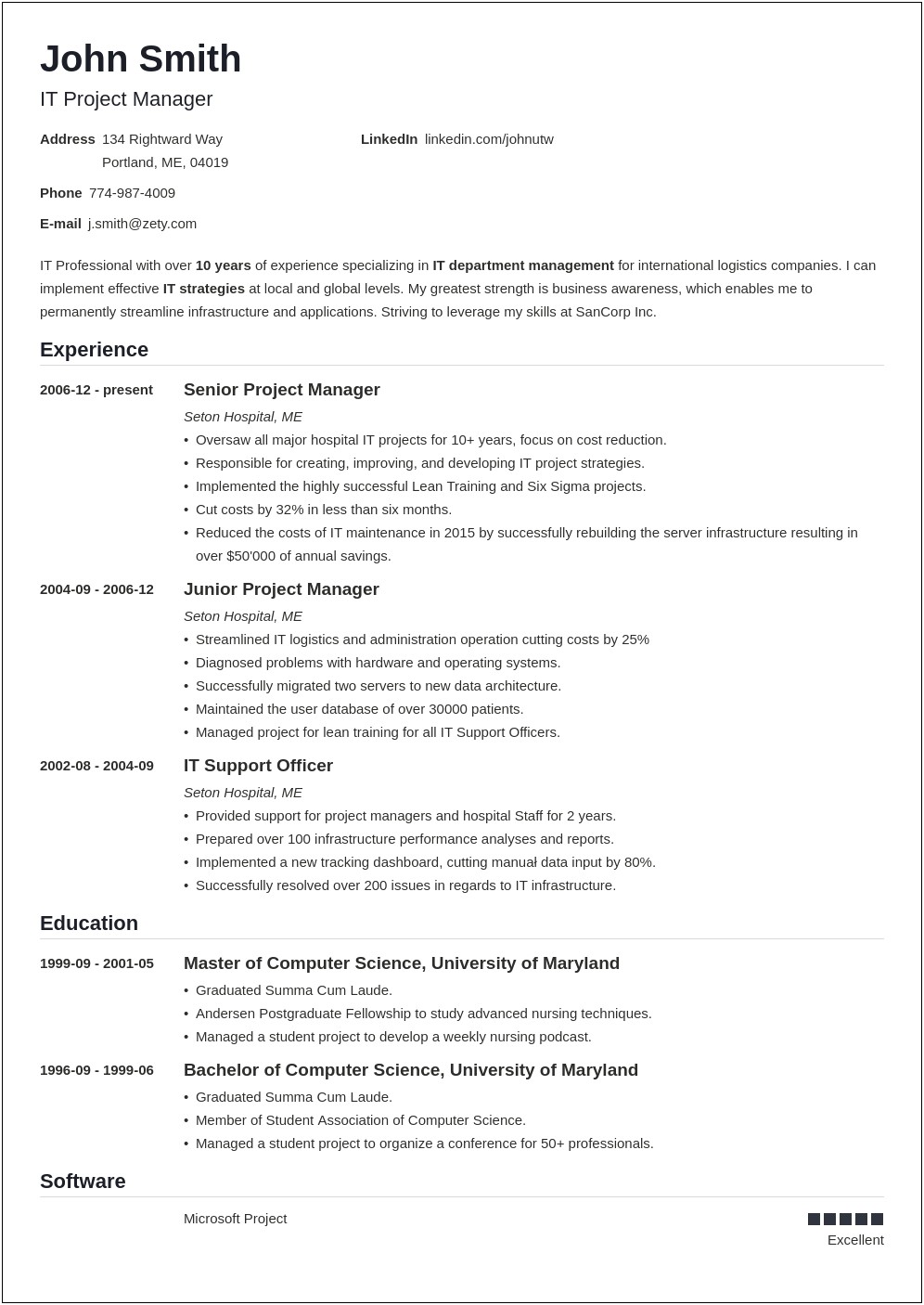 Best Example Of A Professional Resume