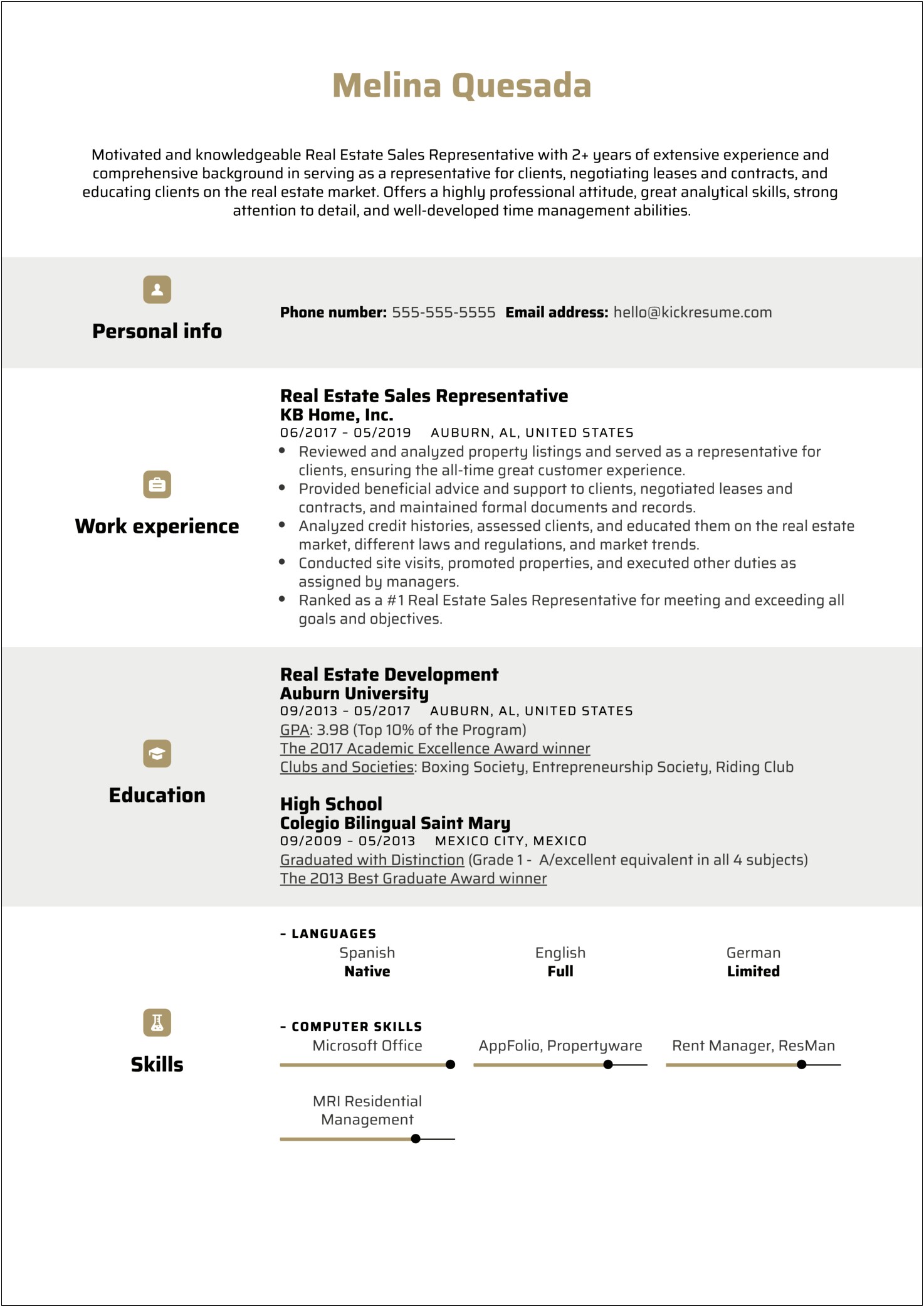 Best Example Of A Sales Executives Resume