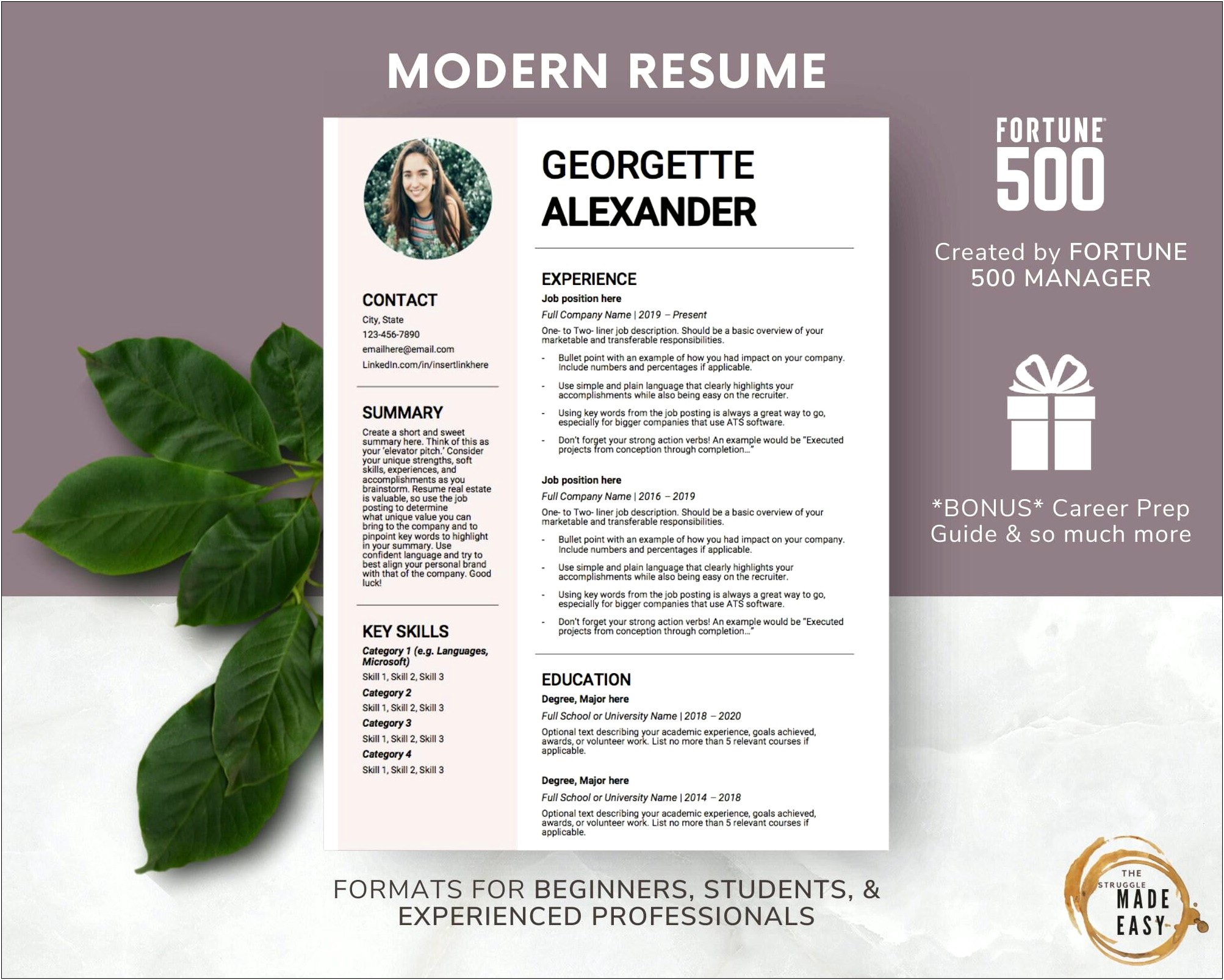Best Resume For Fortune 500 Companies