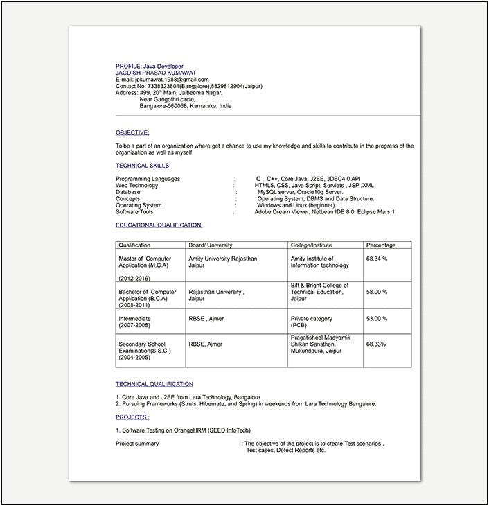 Best Resume Format For Engineers Pdf