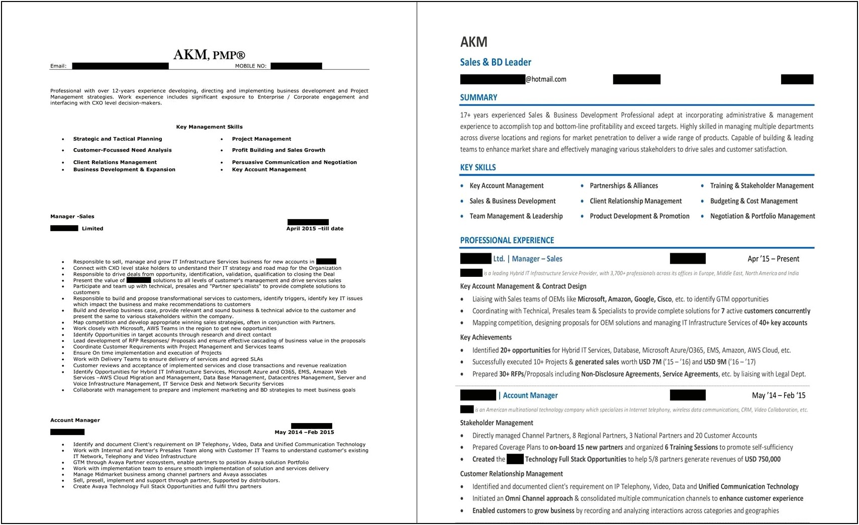 Best Resume Format For Mnc Companies