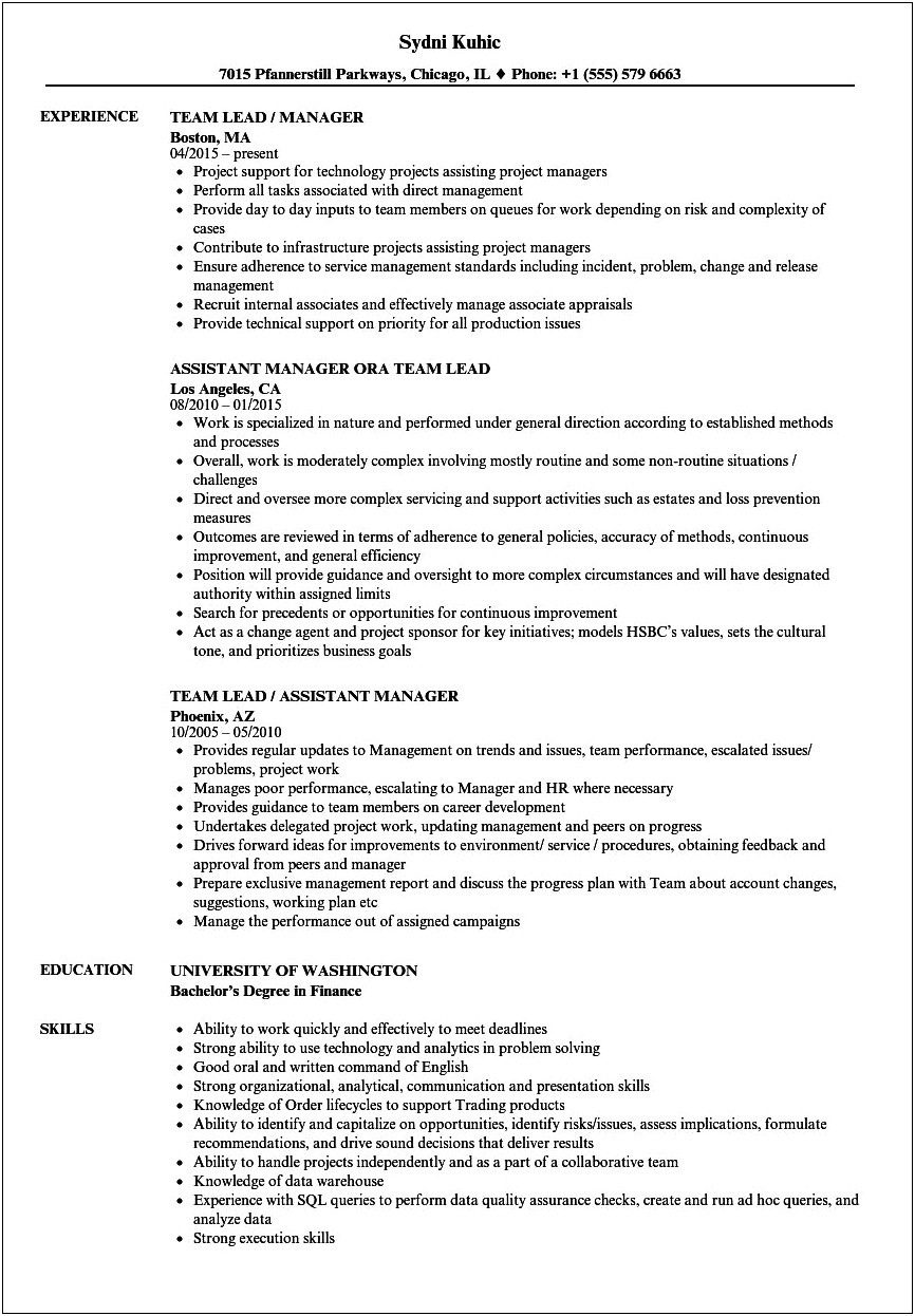 Best Resume Format For Team Leader Position