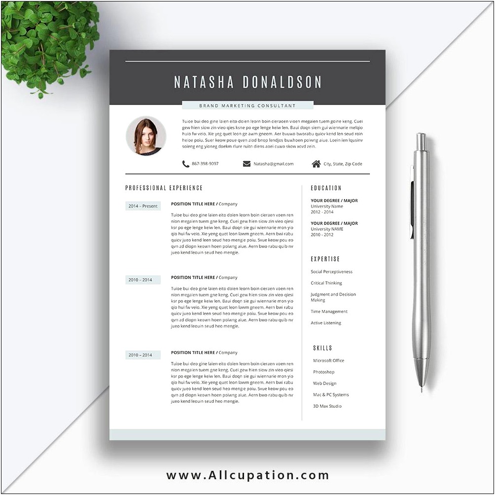 Best Resume Templates To Use 2019