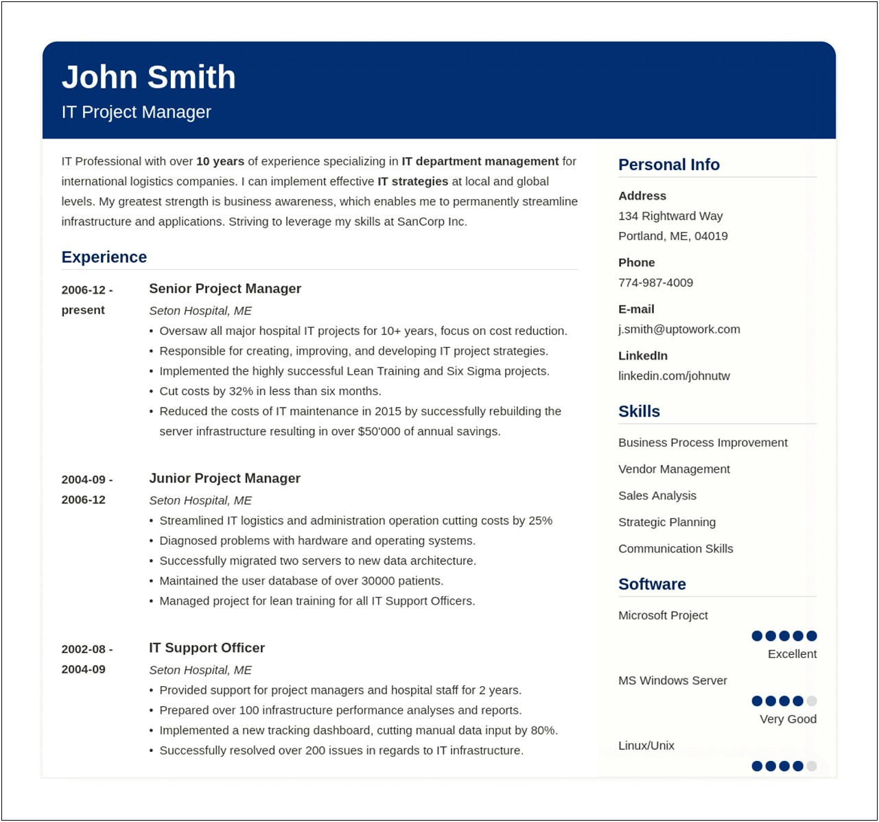 Best Sample Resume For It Professional