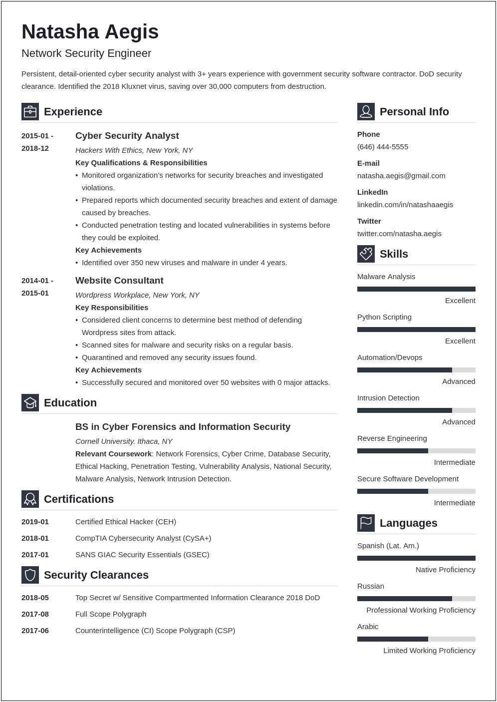 Best Tech Resume Summary No Experience Security Analyst