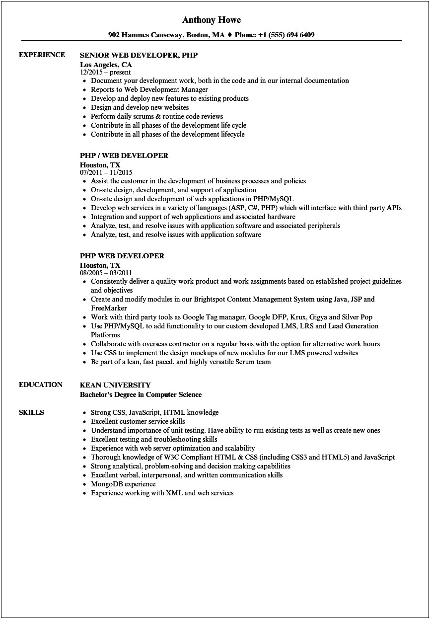 Best Template For Lead Webdeveloper Resume