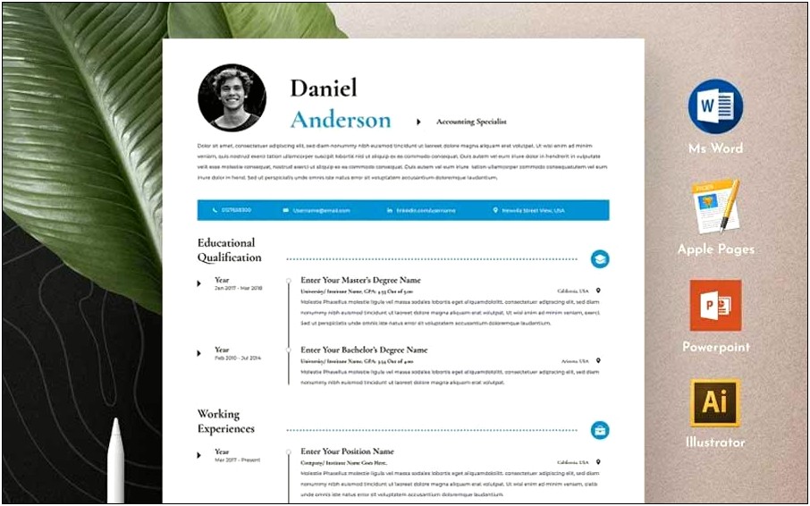 Best Word Resume Templates 2017 Free