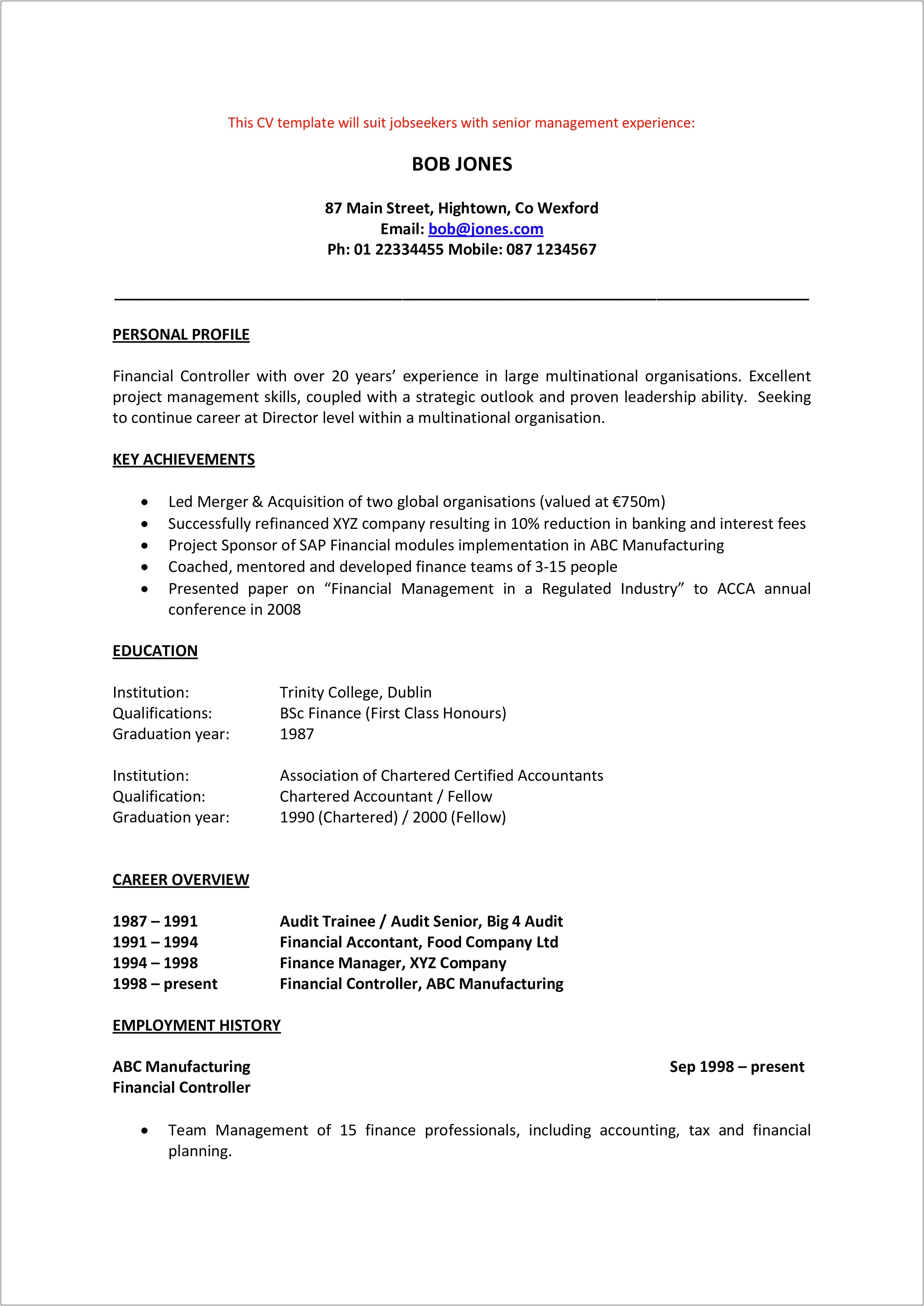 Big 4 Audit Manager Resume Sample