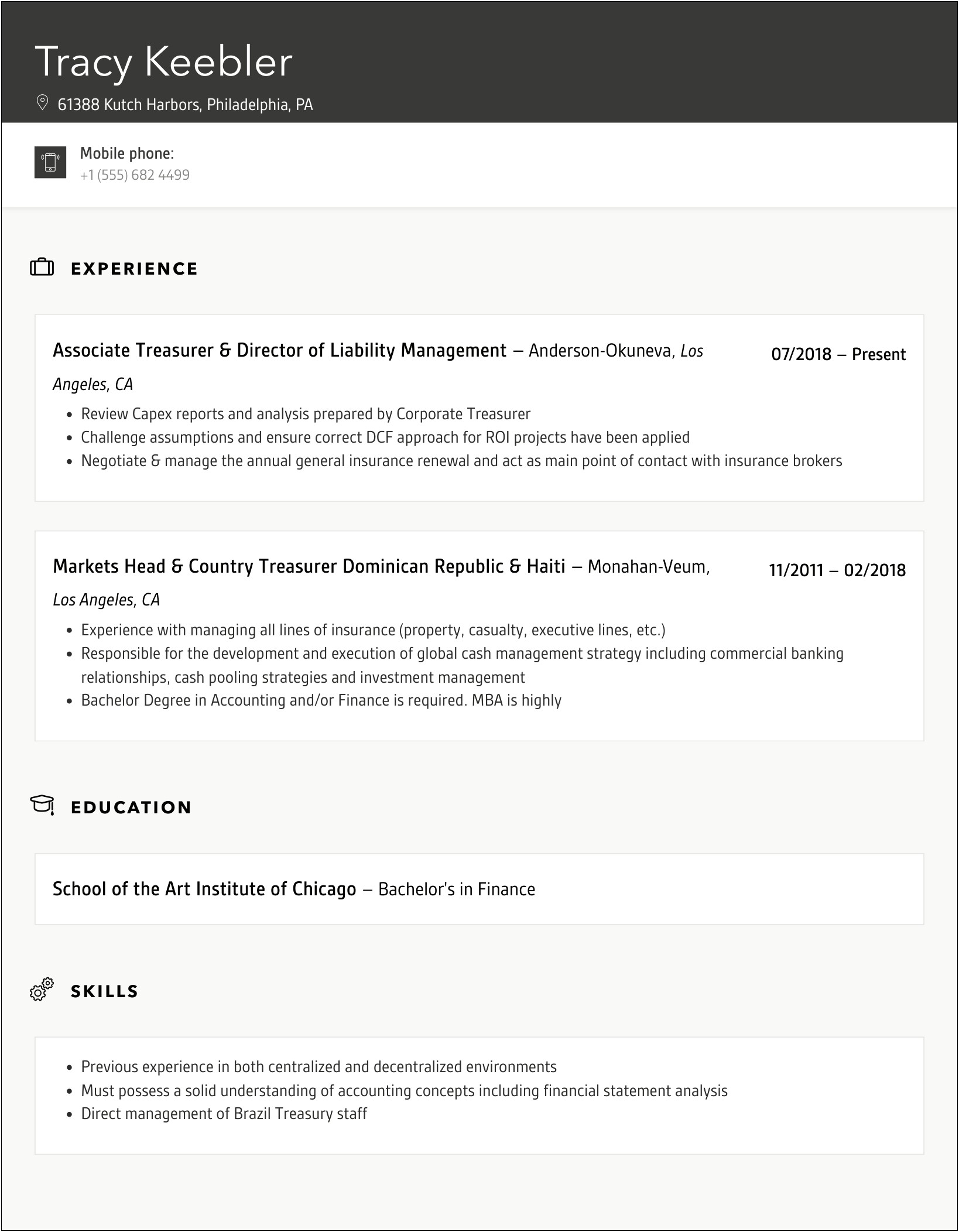 Board Of Director Treasurer Resume Sample