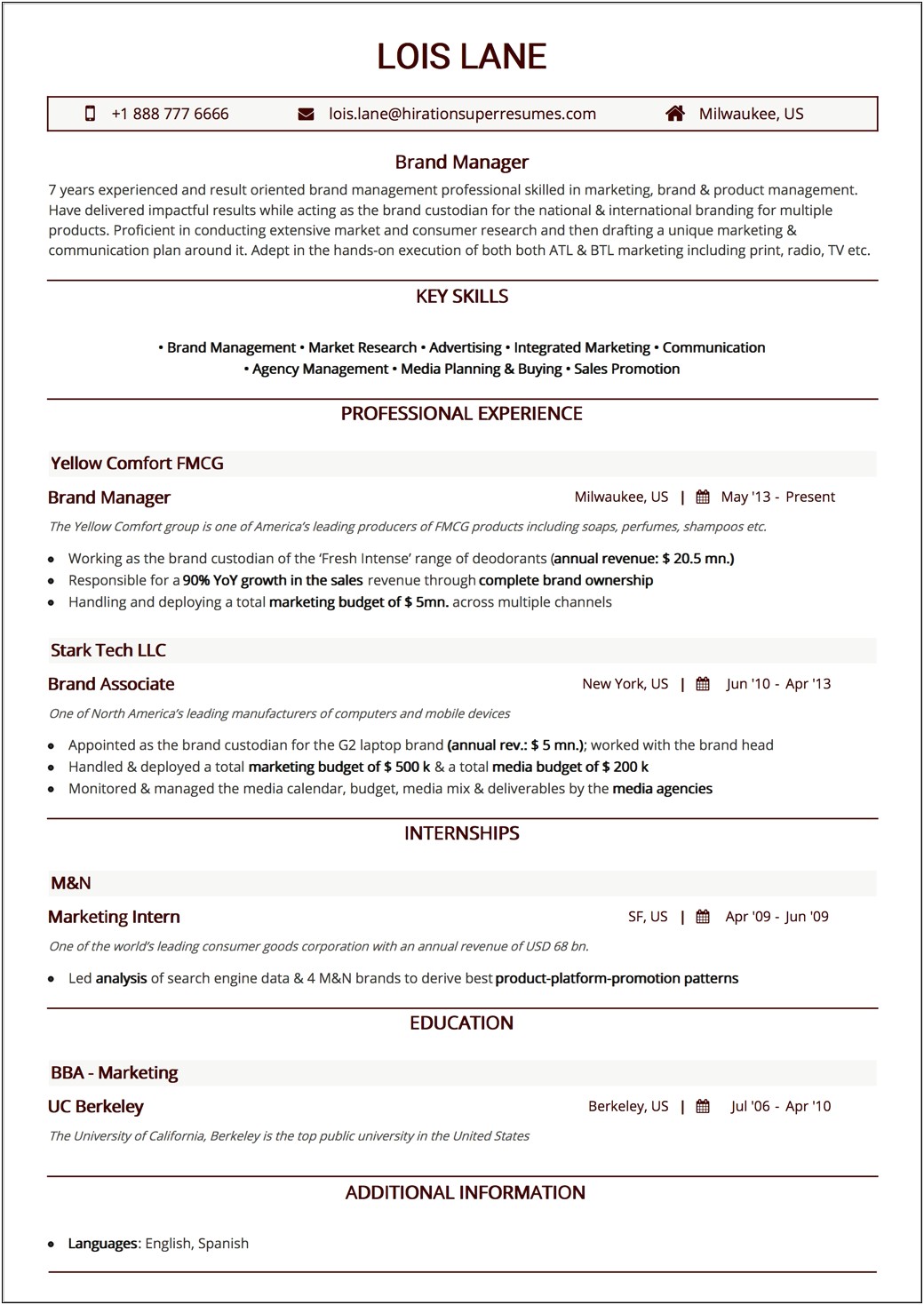 Budget Web Apllication Description On Resume