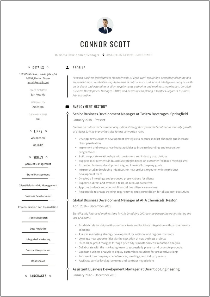 Business Development Manager Resume Word Document