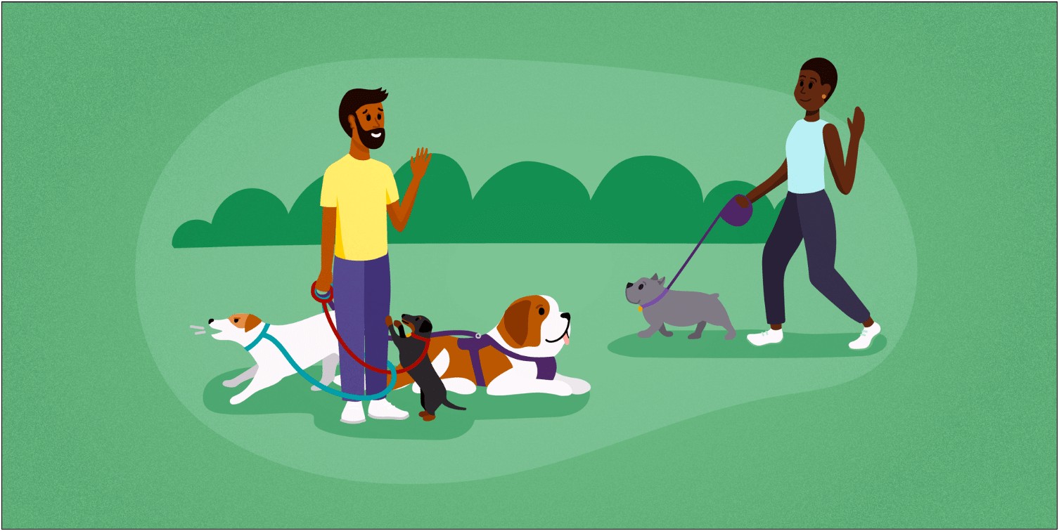 Business Operator Dog Walker Job Description For Resume