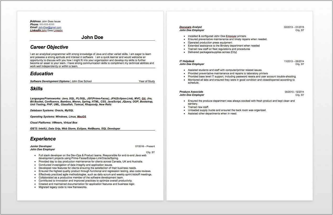 Career Objective For Developer Resume