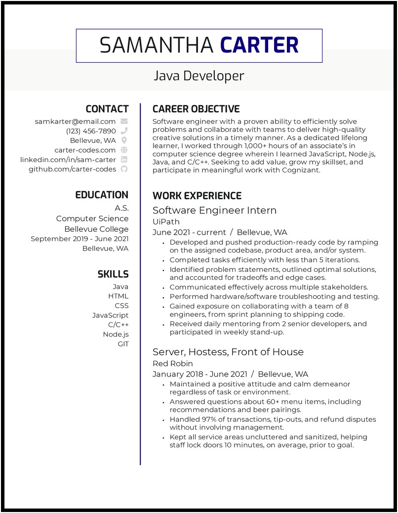 Career Objective In Resume For Developer