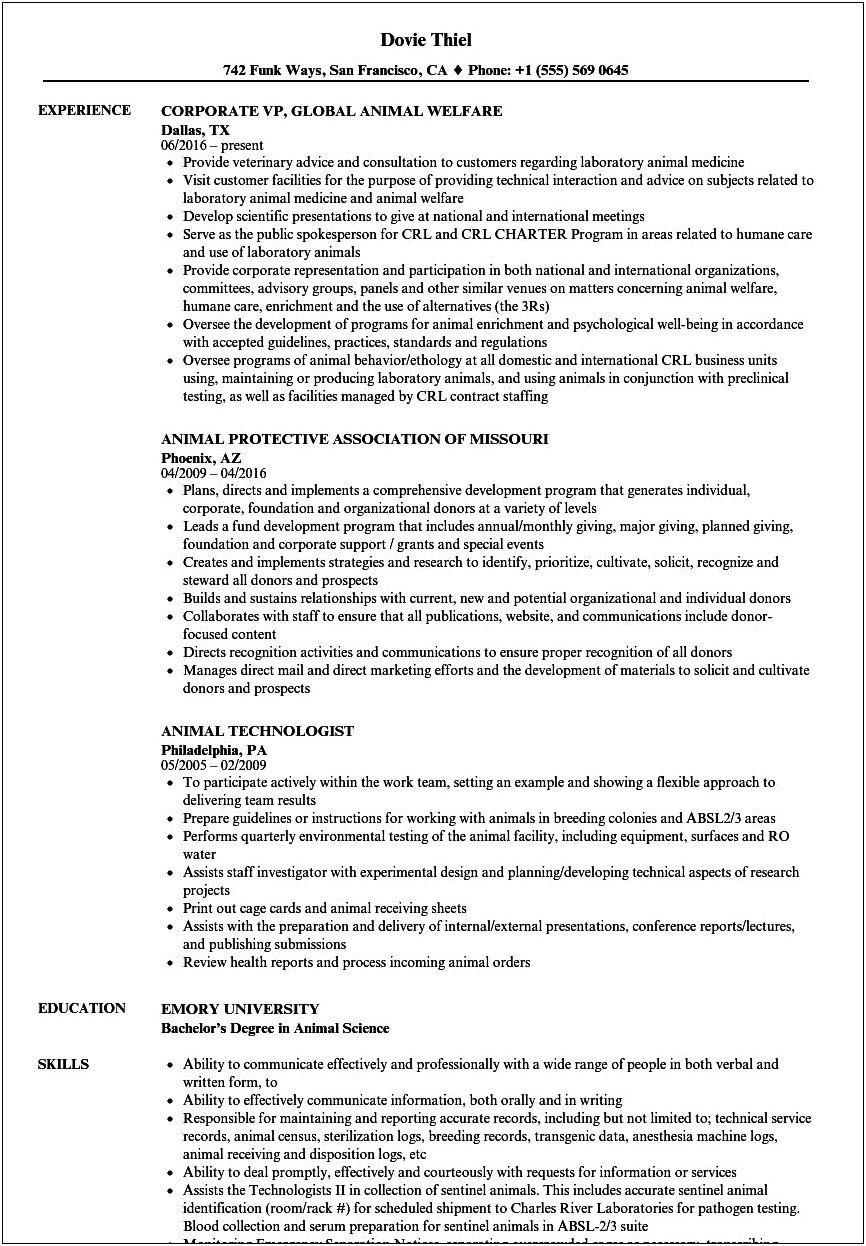 Chronological Resume Pet Care Template Doc