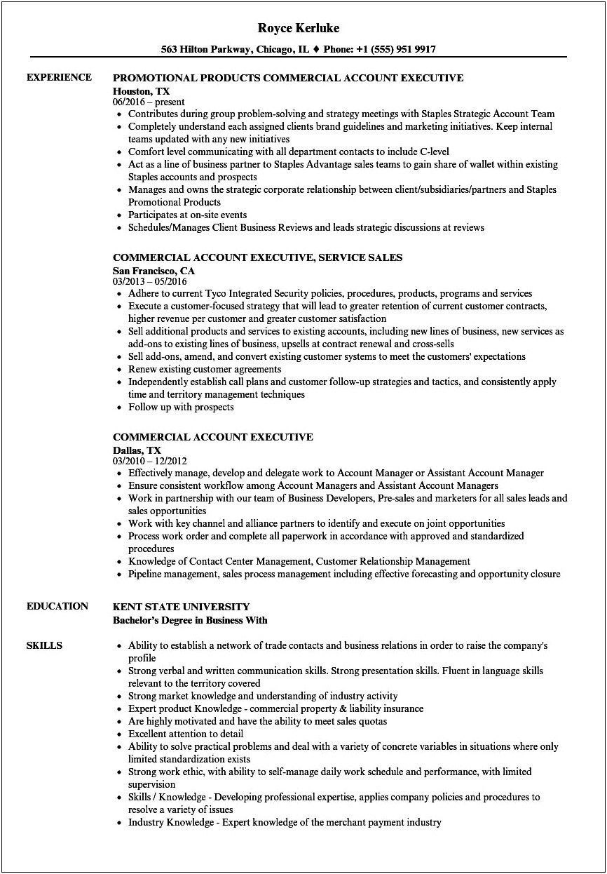 Commercial Insurance Account Manager Resume Sample