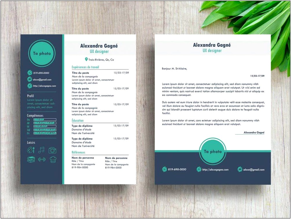 Contemporary Us Resume Template Free Download Word File