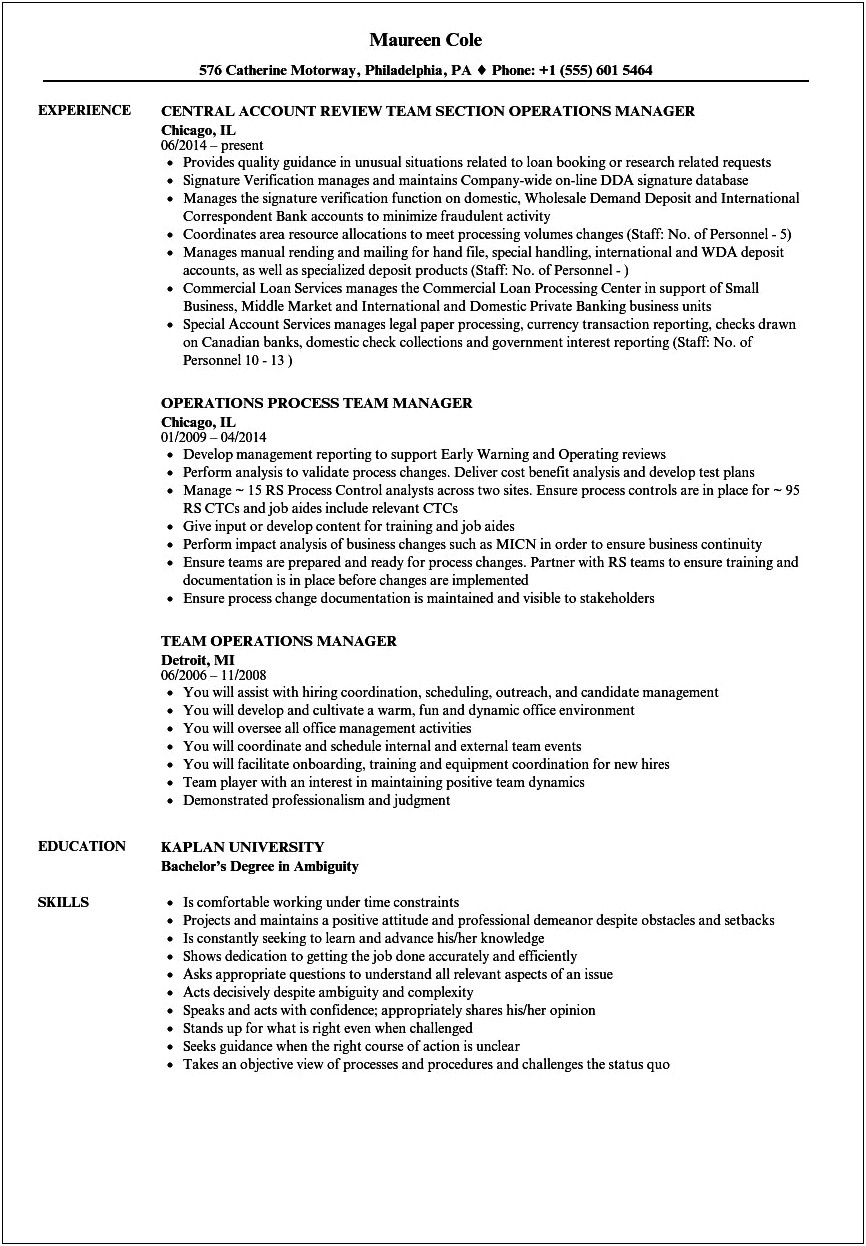 Controller And Operations Manager Resume Samples