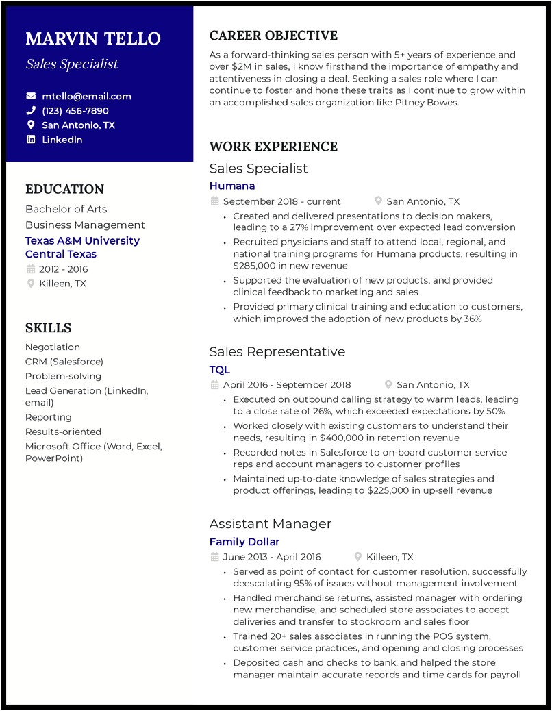 Cool Sales Representative Resume Template Word